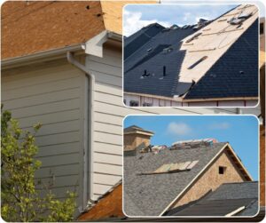 Ultimate Guide to Roof Replacement by No Water Roofing