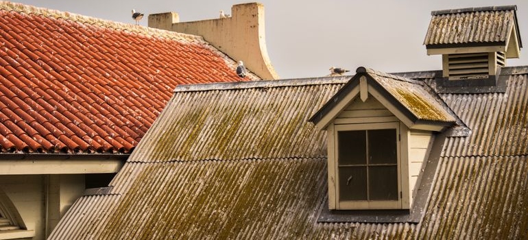 Two aging roofs
